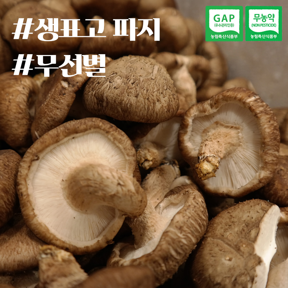 국내산 무농약 표고버섯 실속형 무선별 4kg (파지,파치,농장에서 바로!)